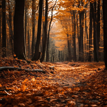 Tableau Orange Forêt